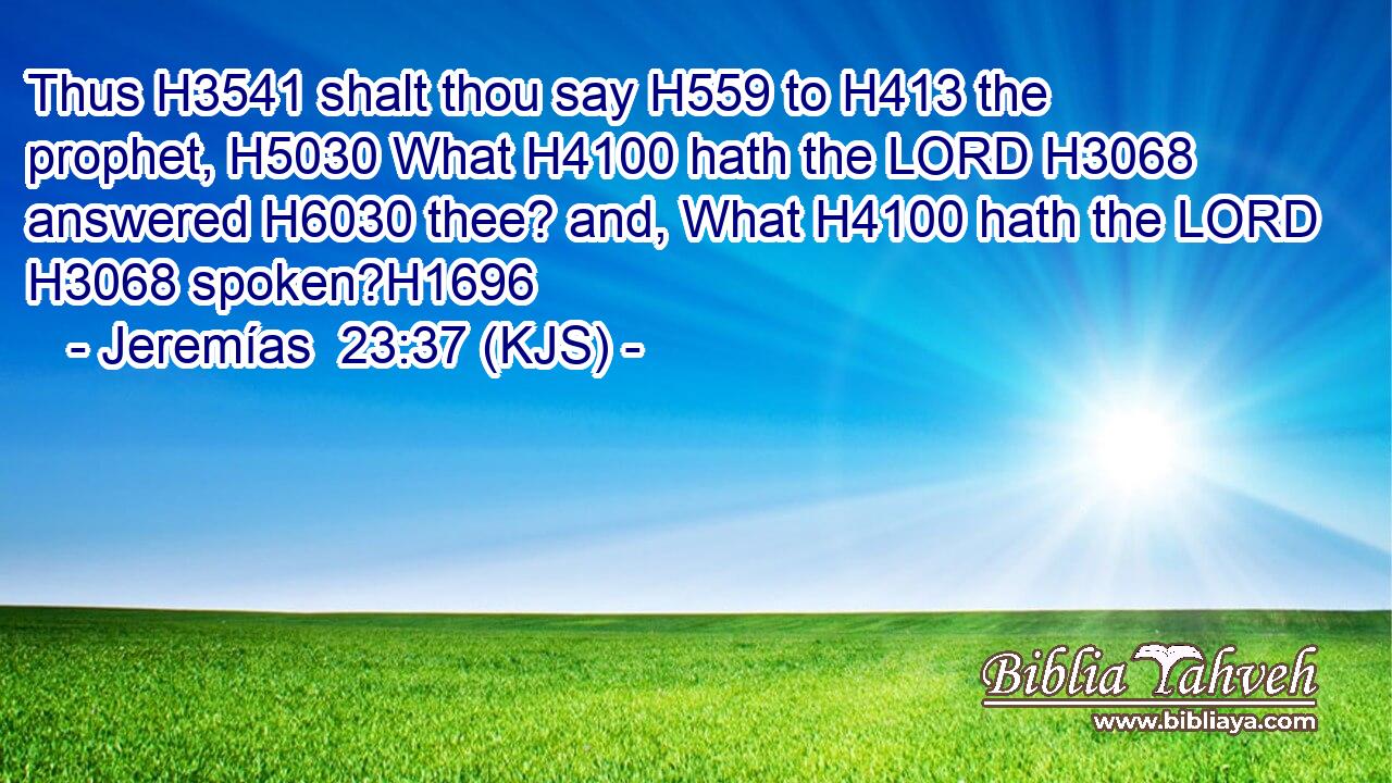Thus H3541 shalt thou say H559 to H413 the prophet, H5030 What H4100 hath the LORD H3068 answered H6030 thee? and, What H4100 hath the LORD H3068 spoken?H1696