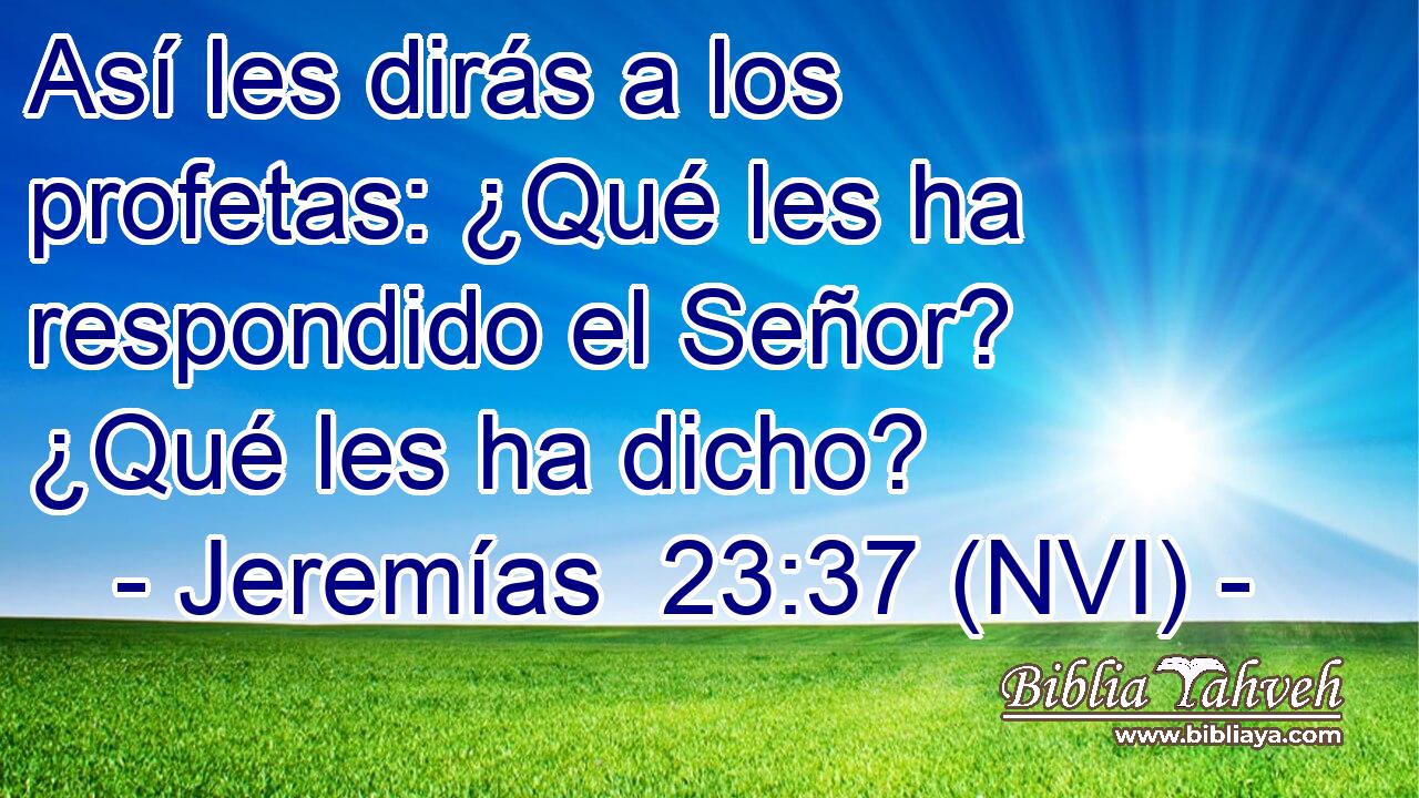  Así les dirás a los profetas: ¿Qué les ha respondido el Señor? ¿Qué les ha dicho? 