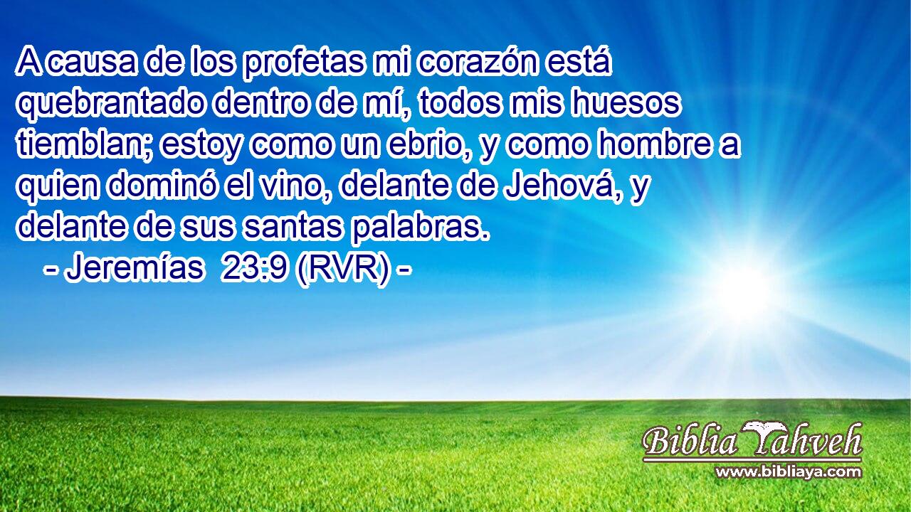A causa de los profetas mi corazón está quebrantado dentro de mí, todos mis huesos tiemblan; estoy como un ebrio, y como hombre a quien dominó el vino, delante de Jehová, y delante de sus santas palabras.