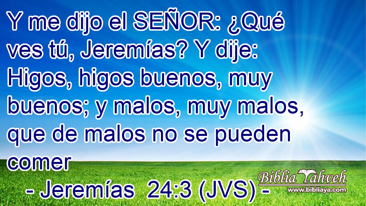 Y me dijo el SEÑOR: ¿Qué ves tú, Jeremías? Y dije: Higos, higos buenos, muy buenos; y malos, muy malos, que de malos no se pueden comer