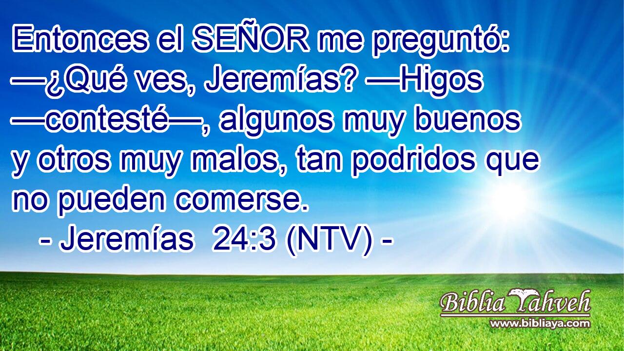 Entonces el SEÑOR me preguntó: —¿Qué ves, Jeremías? —Higos —contesté—, algunos muy buenos y otros muy malos, tan podridos que no pueden comerse.