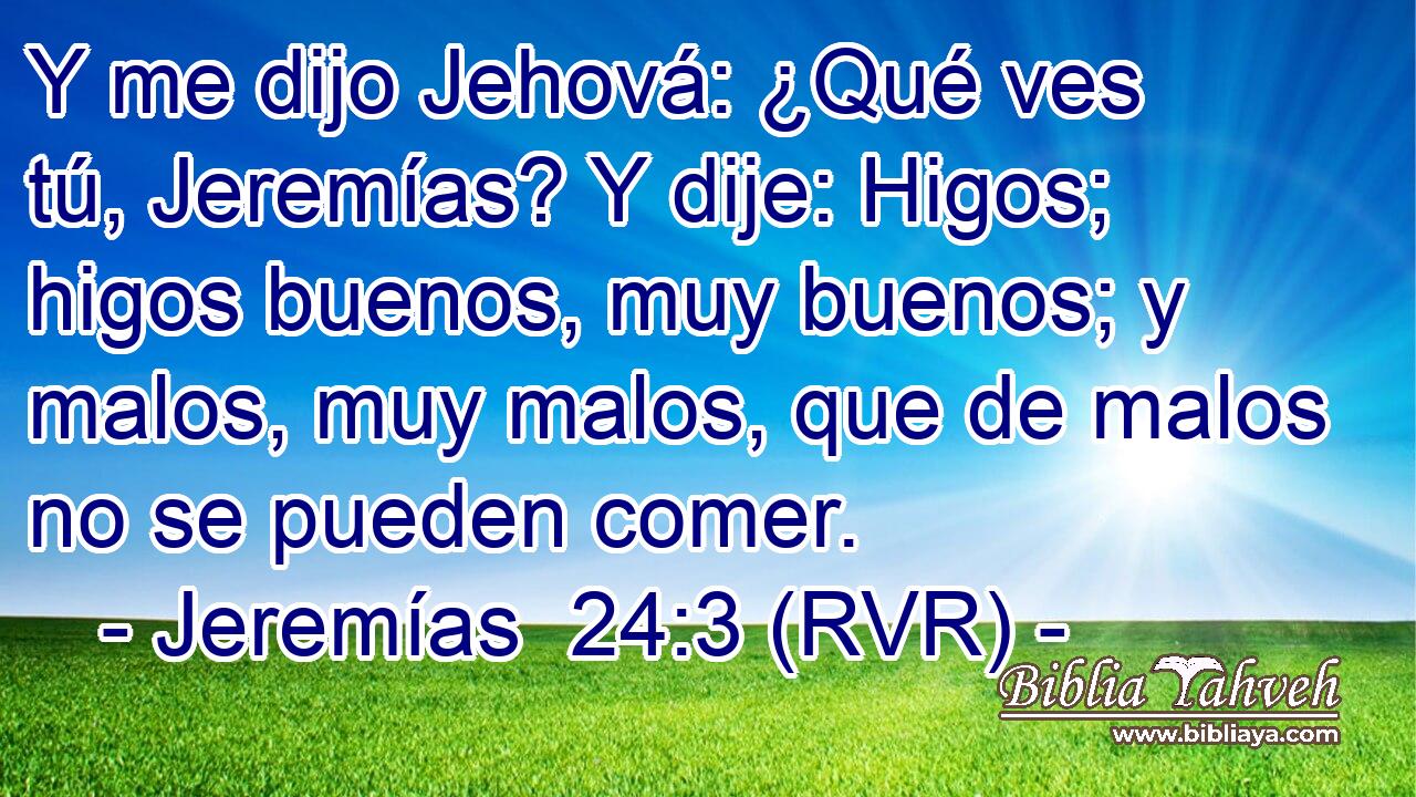 Y me dijo Jehová: ¿Qué ves tú, Jeremías? Y dije: Higos; higos buenos, muy buenos; y malos, muy malos, que de malos no se pueden comer.