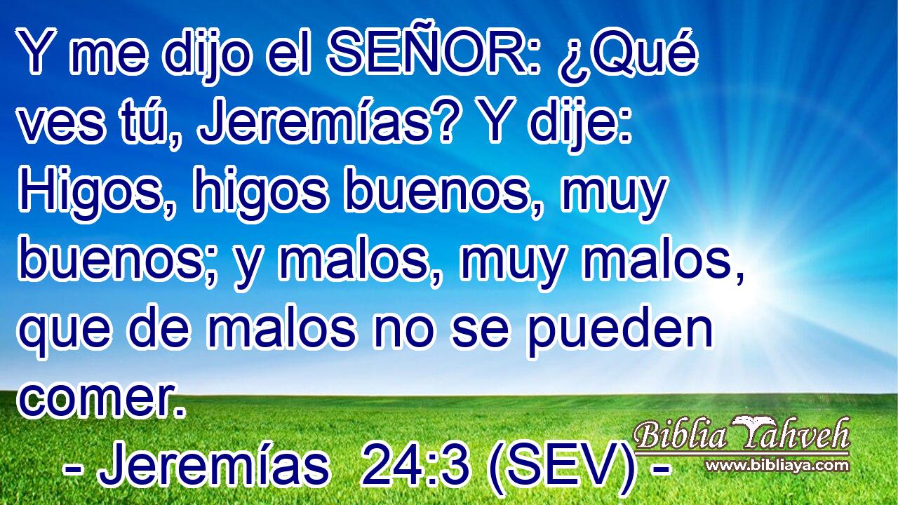 Y me dijo el SEÑOR: ¿Qué ves tú, Jeremías? Y dije: Higos, higos buenos, muy buenos; y malos, muy malos, que de malos no se pueden comer.