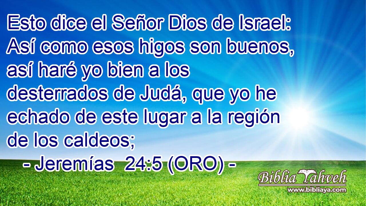  Esto dice el Señor Dios de Israel: Así como esos higos son buenos, así haré yo bien a los desterrados de Judá, que yo he echado de este lugar a la región de los caldeos; 