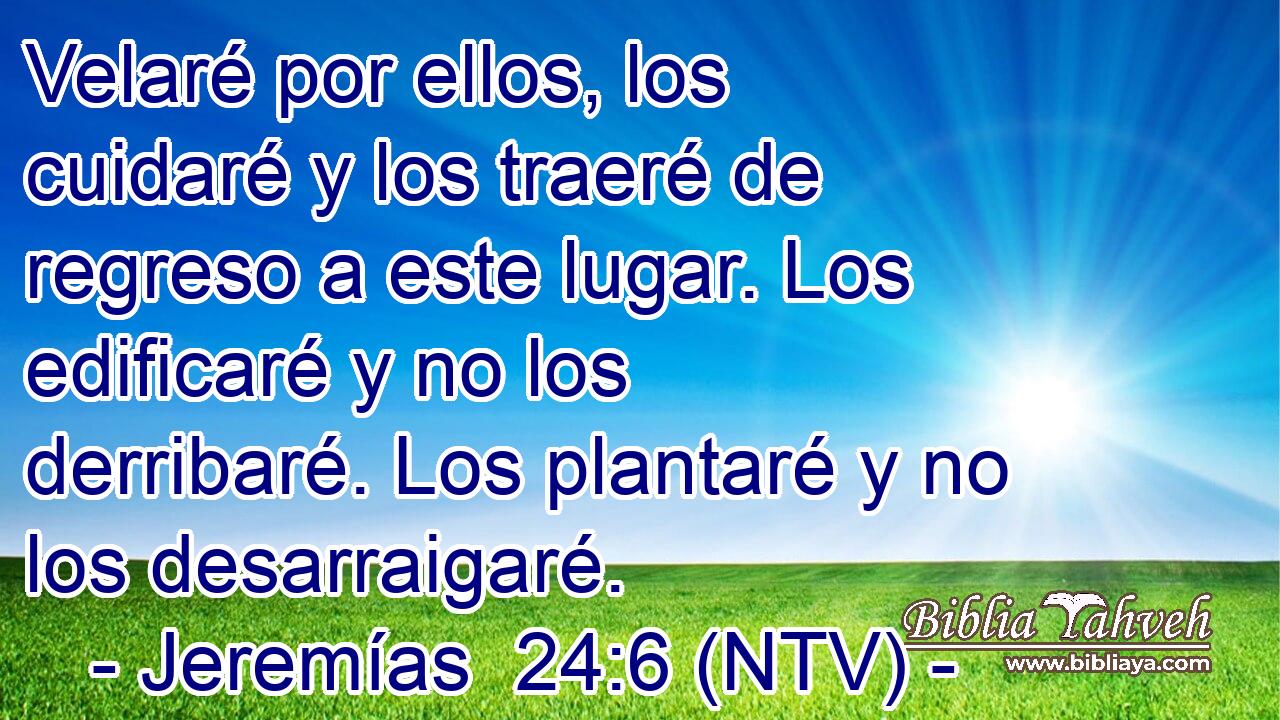 Velaré por ellos, los cuidaré y los traeré de regreso a este lugar. Los edificaré y no los derribaré. Los plantaré y no los desarraigaré.
