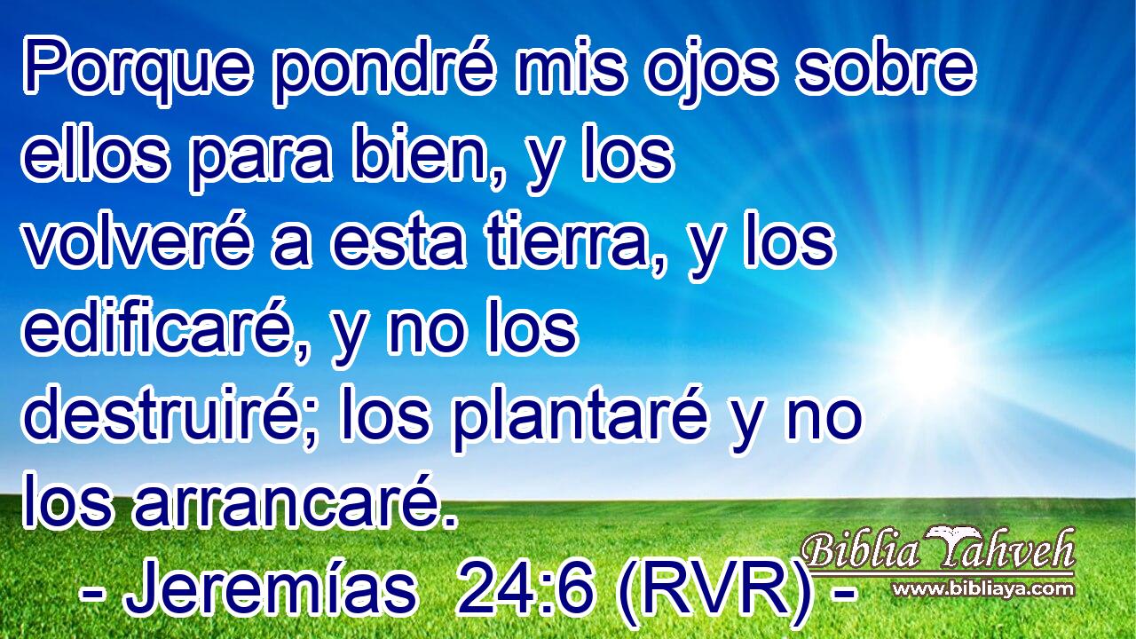 Porque pondré mis ojos sobre ellos para bien, y los volveré a esta tierra, y los edificaré, y no los destruiré; los plantaré y no los arrancaré.