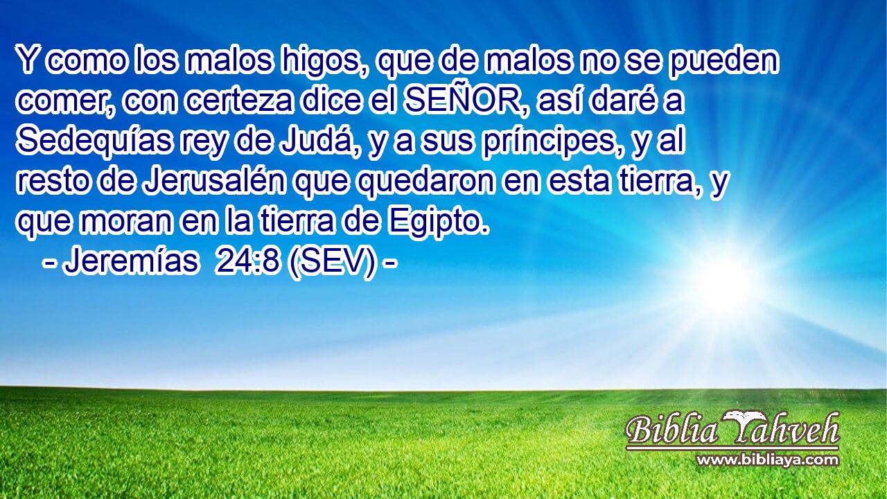 Y como los malos higos, que de malos no se pueden comer, con certeza dice el SEÑOR, así daré a Sedequías rey de Judá, y a sus príncipes, y al resto de Jerusalén que quedaron en esta tierra, y que moran en la tierra de Egipto.