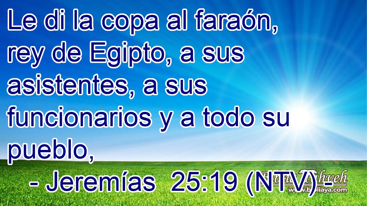 Le di la copa al faraón, rey de Egipto, a sus asistentes, a sus funcionarios y a todo su pueblo,