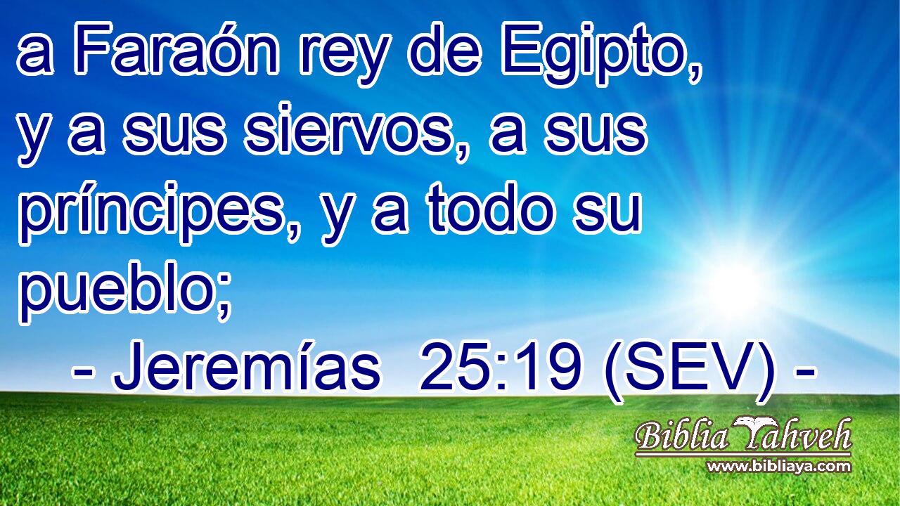 a Faraón rey de Egipto, y a sus siervos, a sus príncipes, y a todo su pueblo;