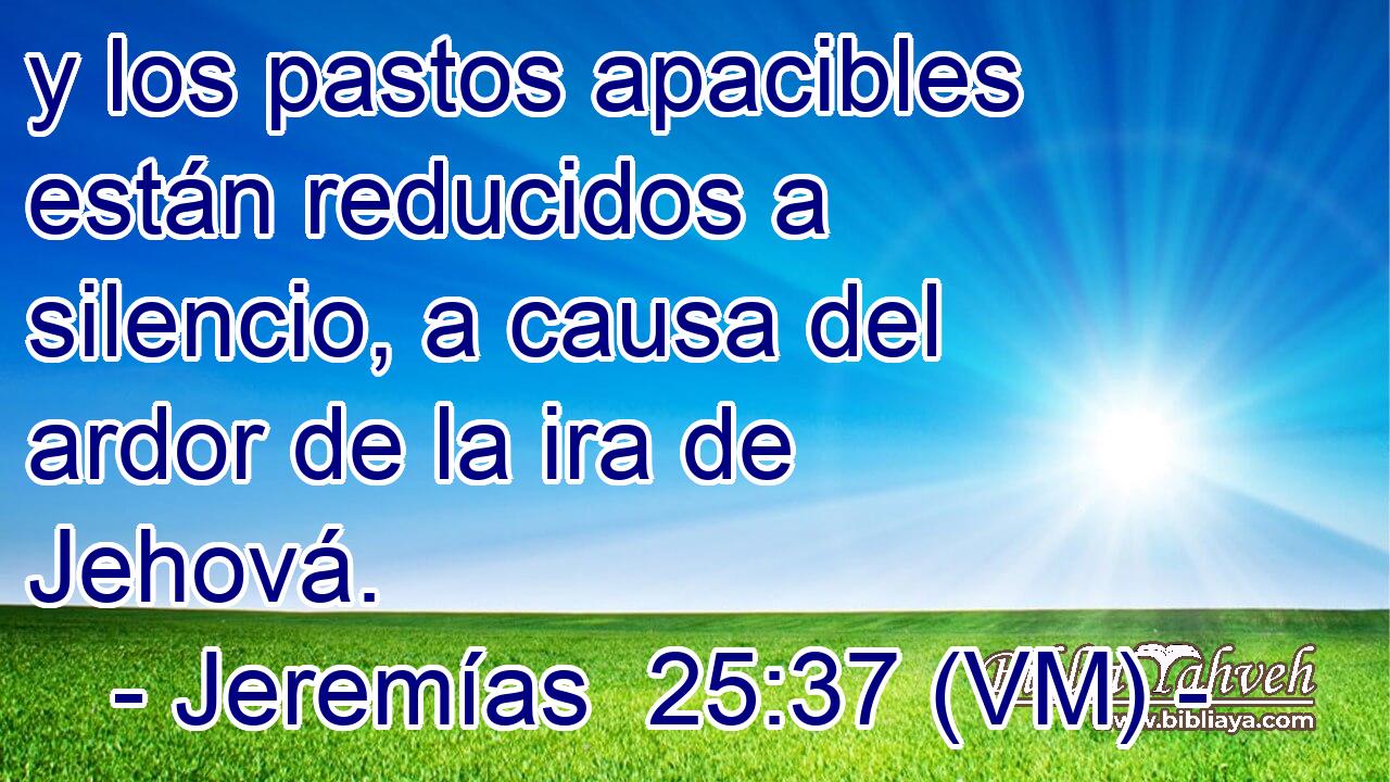  y los pastos apacibles están reducidos a silencio, a causa del ardor de la ira de Jehová. 