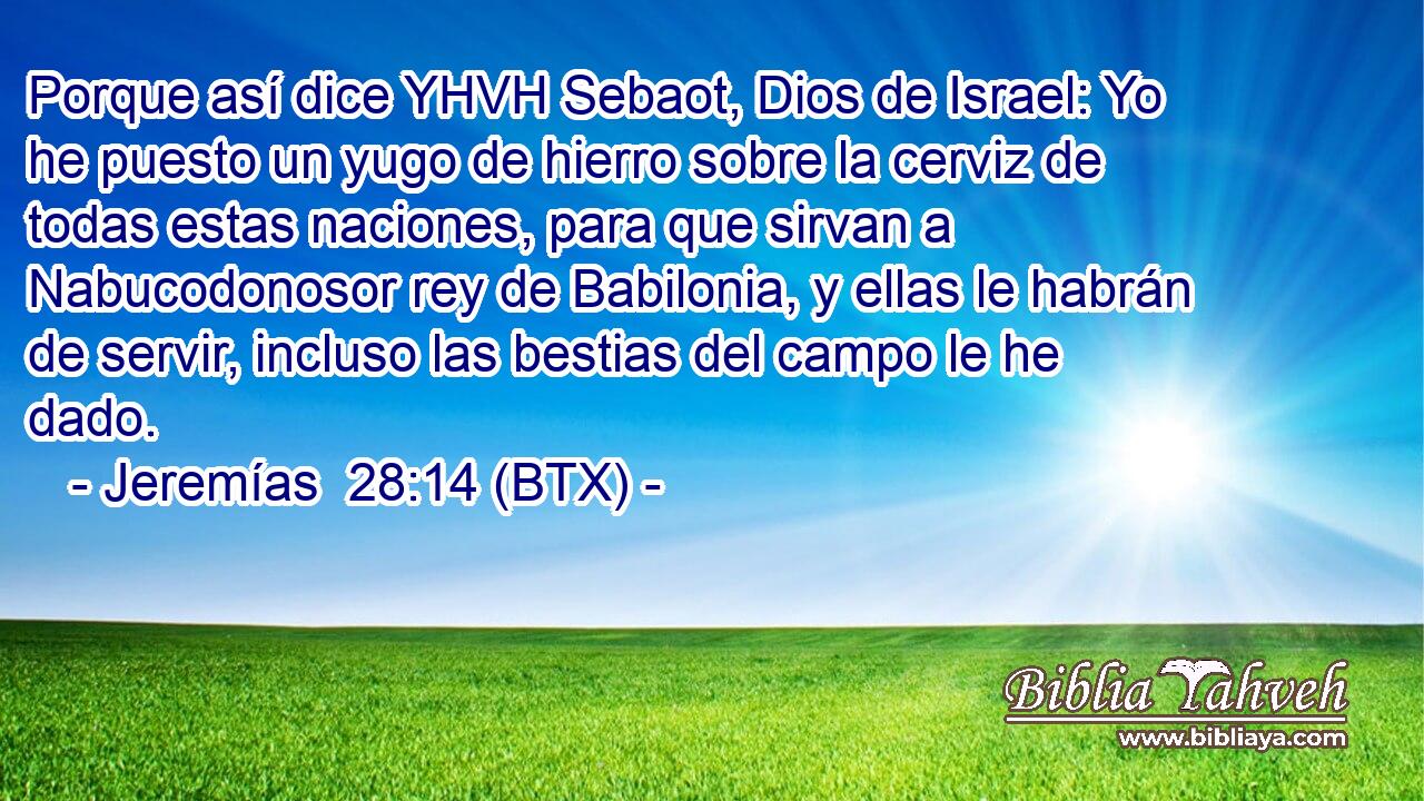 Porque así dice YHVH Sebaot, Dios de Israel: Yo he puesto un yugo de hierro sobre la cerviz de todas estas naciones, para que sirvan a Nabucodonosor rey de Babilonia, y ellas le habrán de servir, incluso las bestias del campo le he dado.