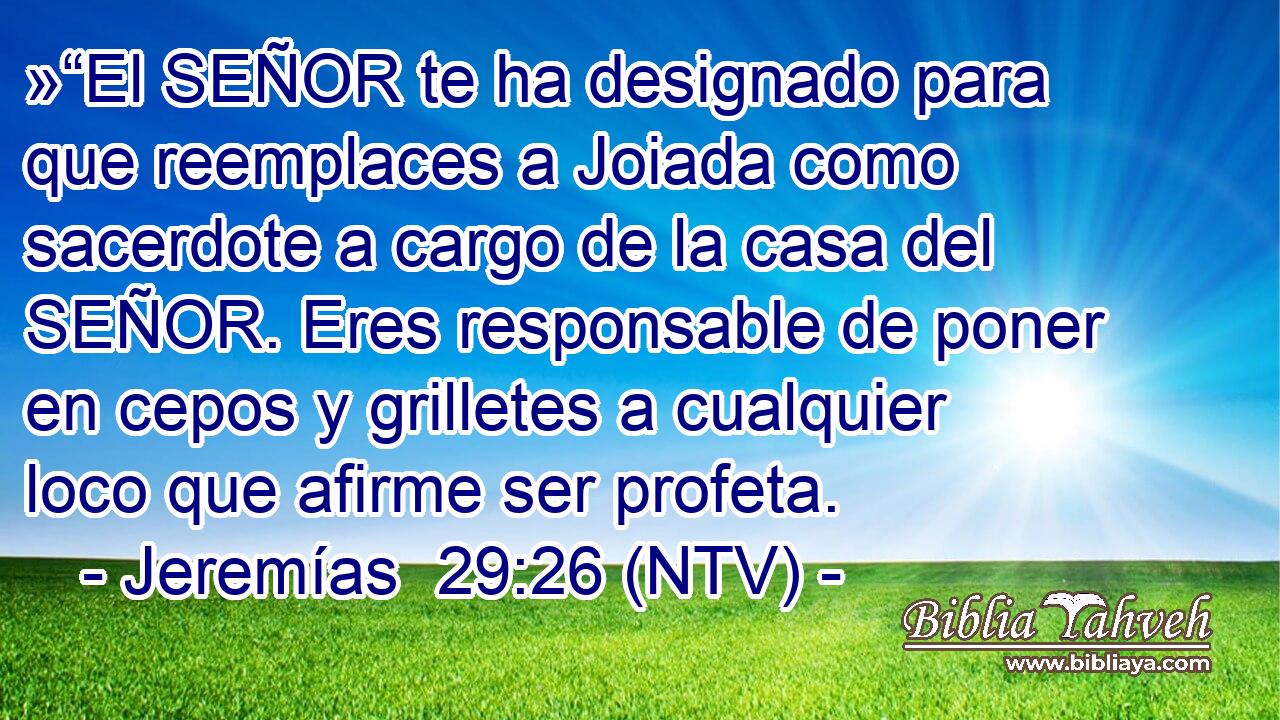 »“El SEÑOR te ha designado para que reemplaces a Joiada como sacerdote a cargo de la casa del SEÑOR. Eres responsable de poner en cepos y grilletes a cualquier loco que afirme ser profeta.