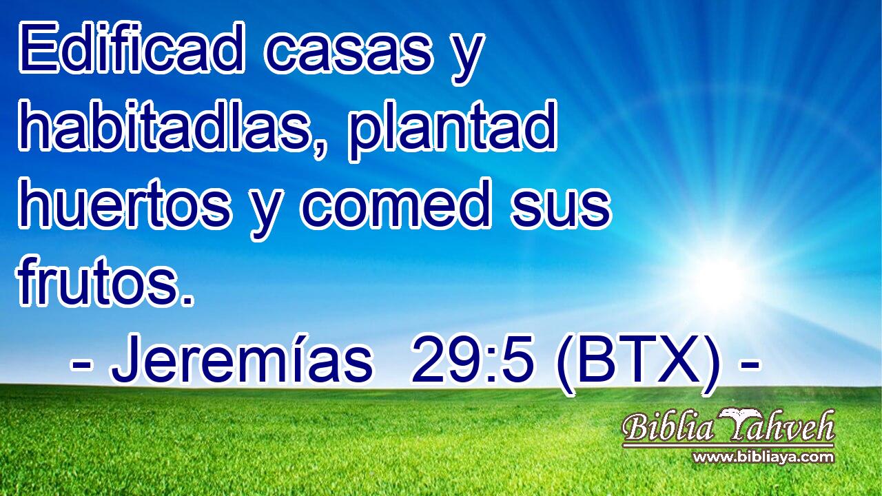 Edificad casas y habitadlas, plantad huertos y comed sus frutos.