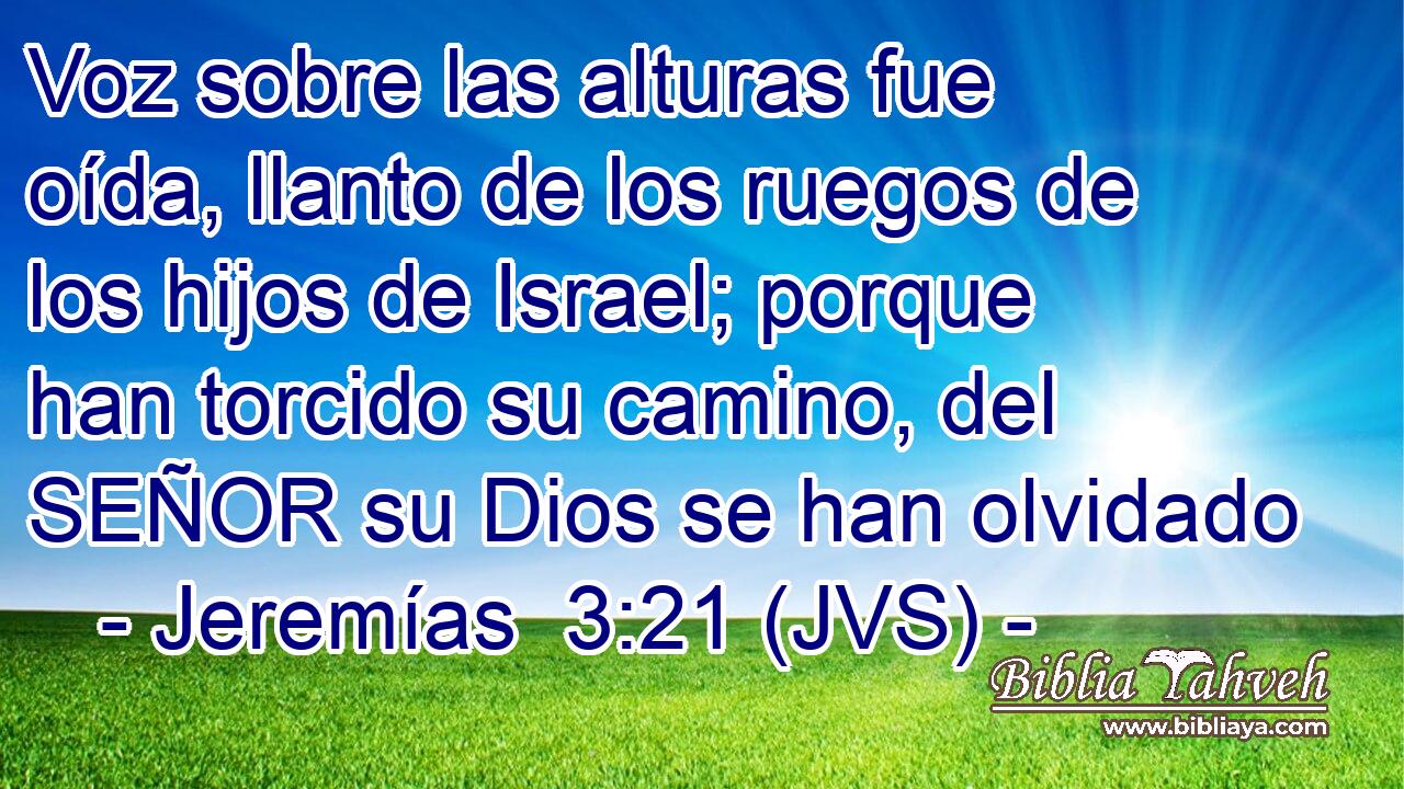 Voz sobre las alturas fue oída, llanto de los ruegos de los hijos de Israel; porque han torcido su camino, del SEÑOR su Dios se han olvidado