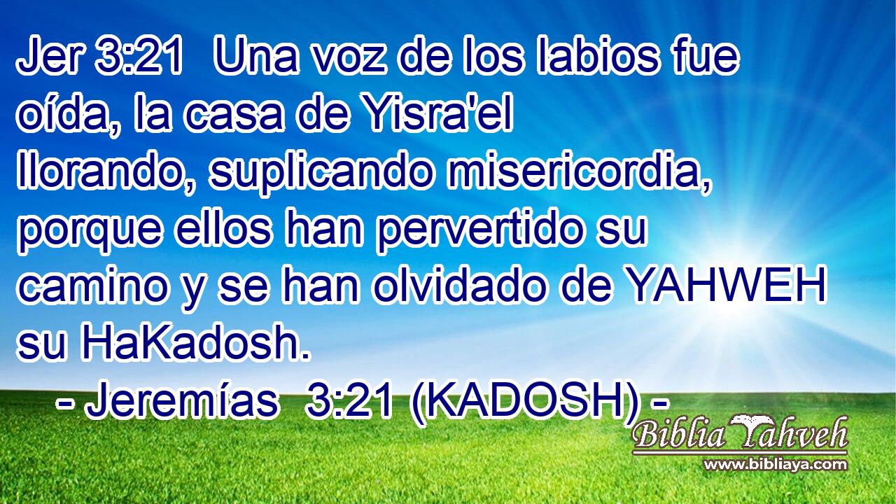  Una voz de los labios fue oída, la casa de Yisra'el llorando, suplicando misericordia, porque ellos han pervertido su camino y se han olvidado de YAHWEH su HaKadosh. 