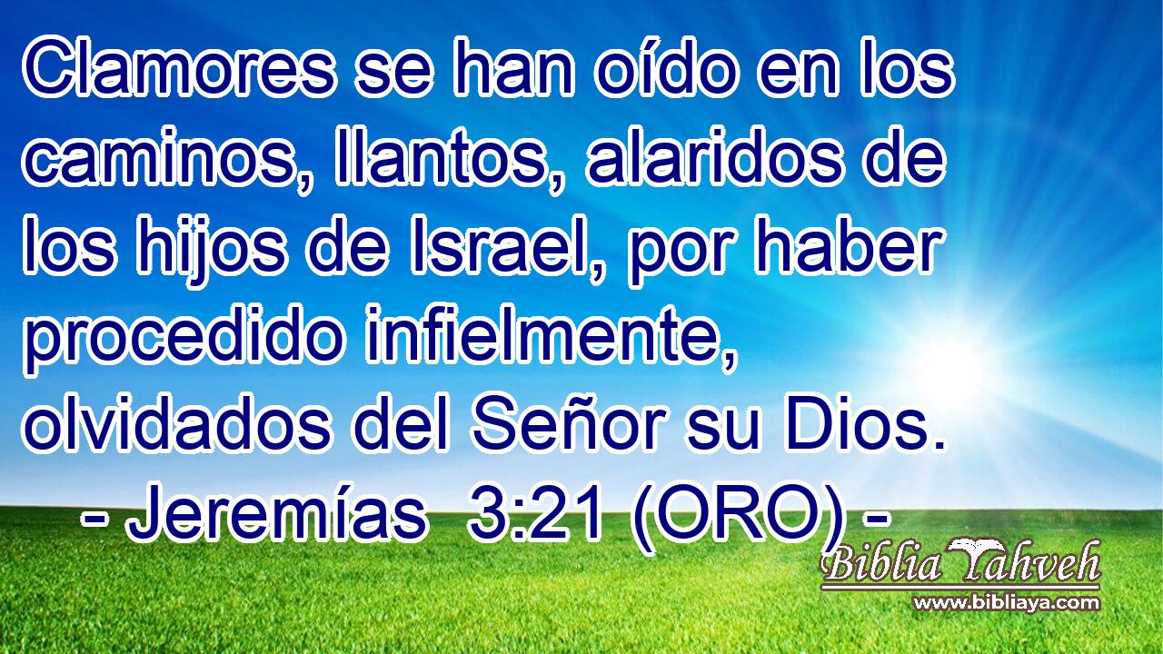  Clamores se han oído en los caminos, llantos, alaridos de los hijos de Israel, por haber procedido infielmente, olvidados del Señor su Dios. 