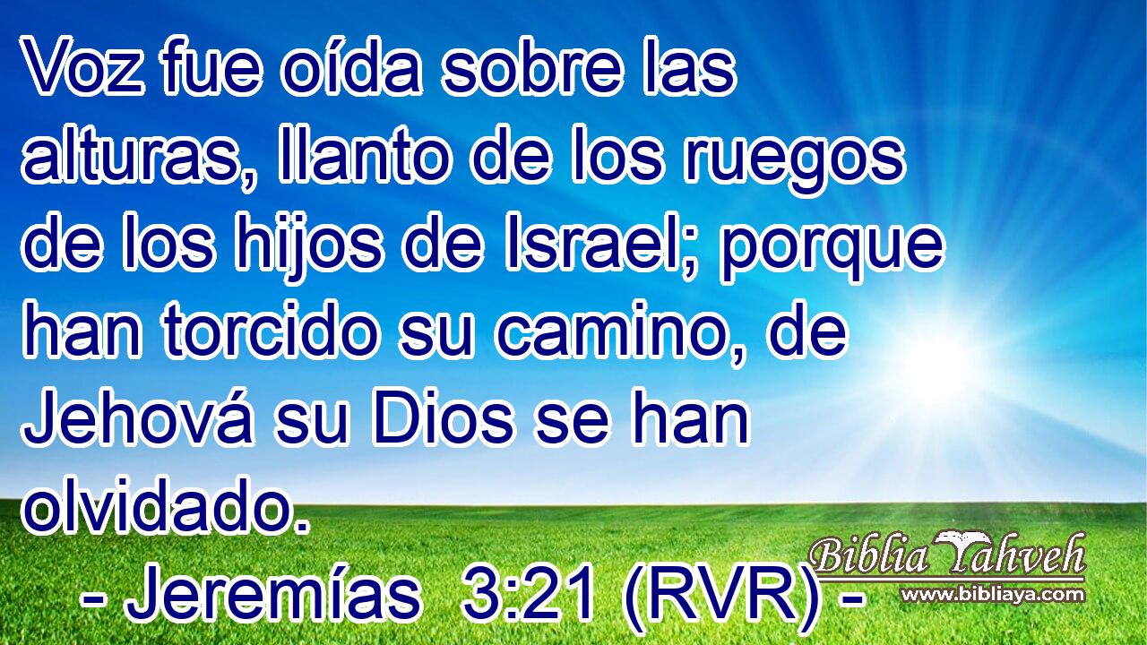 Voz fue oída sobre las alturas, llanto de los ruegos de los hijos de Israel; porque han torcido su camino, de Jehová su Dios se han olvidado.