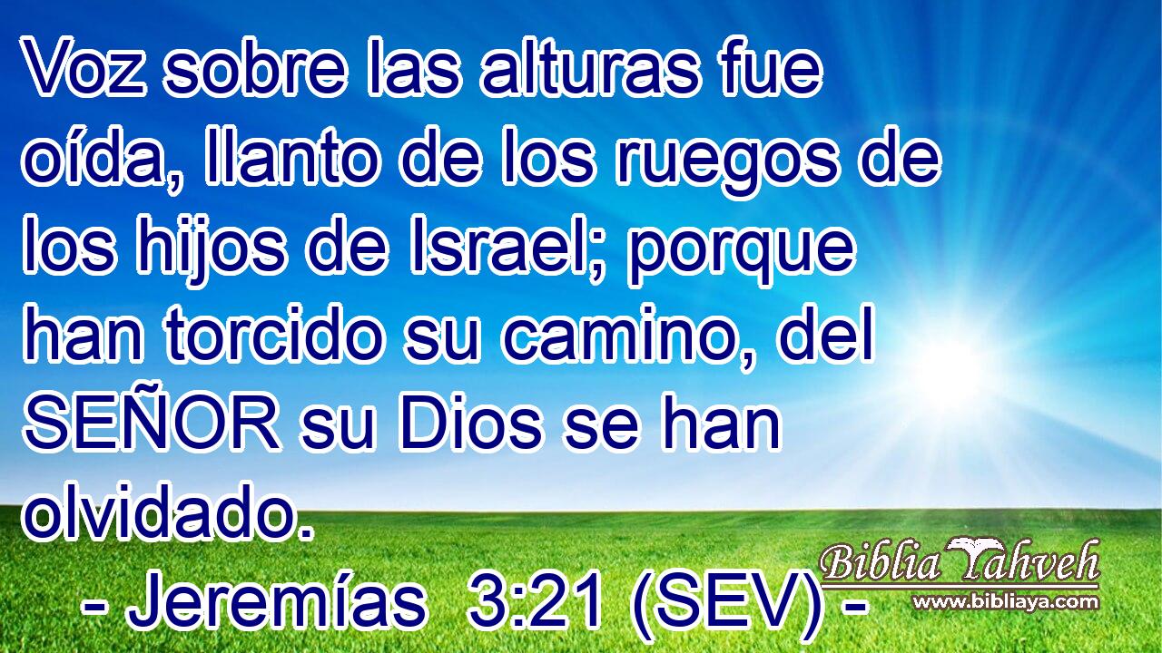 Voz sobre las alturas fue oída, llanto de los ruegos de los hijos de Israel; porque han torcido su camino, del SEÑOR su Dios se han olvidado.