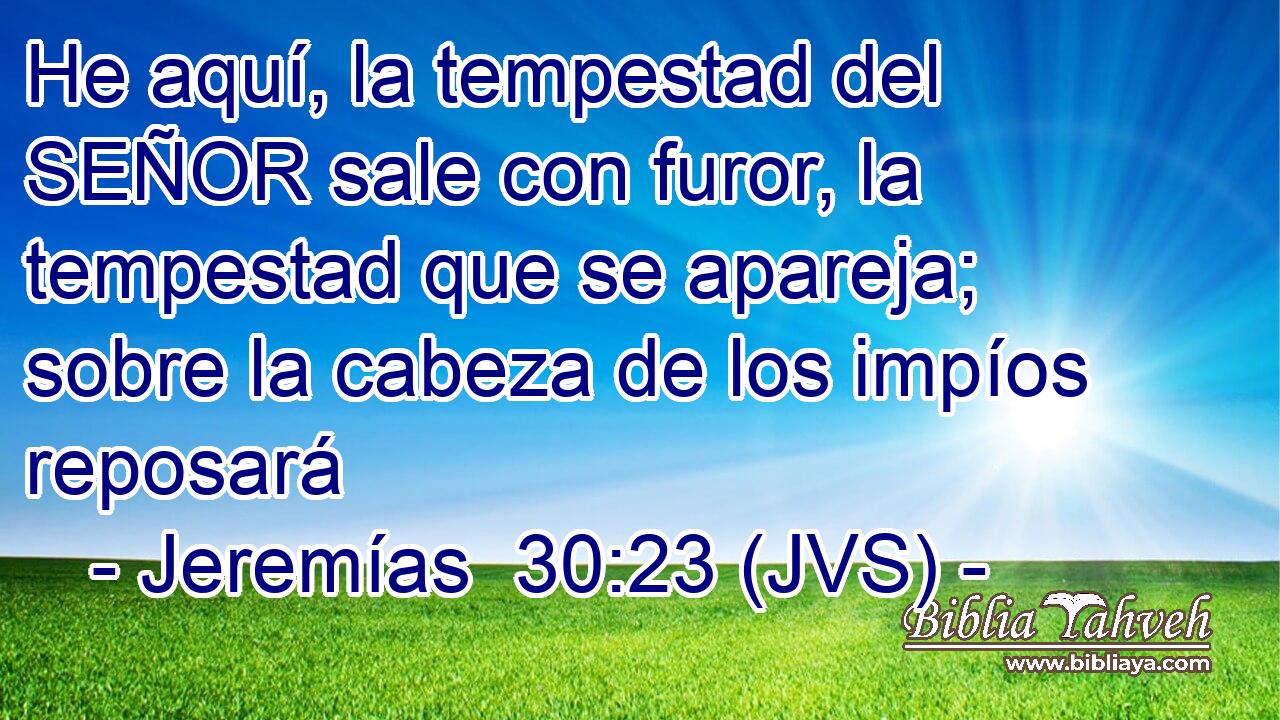 He aquí, la tempestad del SEÑOR sale con furor, la tempestad que se apareja; sobre la cabeza de los impíos reposará