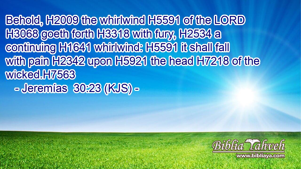 Behold, H2009 the whirlwind H5591 of the LORD H3068 goeth forth H3318 with fury, H2534 a continuing H1641 whirlwind: H5591 it shall fall with pain H2342 upon H5921 the head H7218 of the wicked.H7563