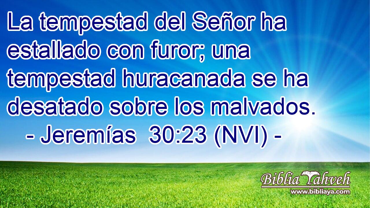  La tempestad del Señor ha estallado con furor; una tempestad huracanada se ha desatado sobre los malvados. 