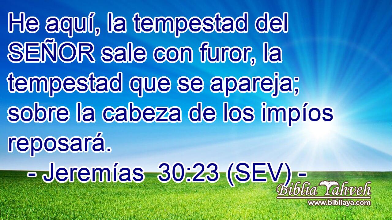 He aquí, la tempestad del SEÑOR sale con furor, la tempestad que se apareja; sobre la cabeza de los impíos reposará.