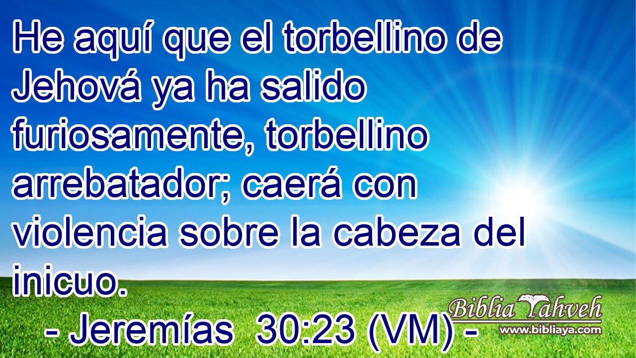  He aquí que el torbellino de Jehová ya ha salido furiosamente, torbellino arrebatador; caerá con violencia sobre la cabeza del inicuo. 