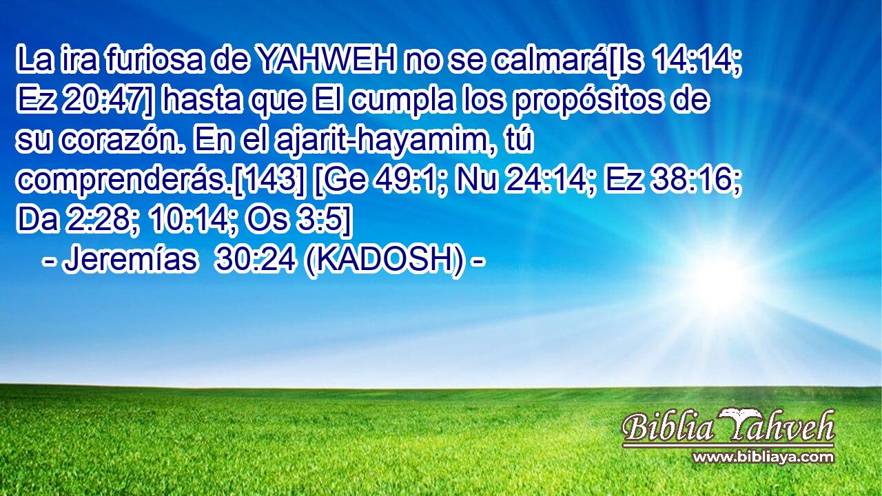 La ira furiosa de YAHWEH no se calmará[Is 14:14; Ez 20:47] hasta que El cumpla los propósitos de su corazón. En el ajarit-hayamim, tú comprenderás.[143] [Ge 49:1; Nu 24:14; Ez 38:16; Da 2:28; 10:14; Os 3:5] 