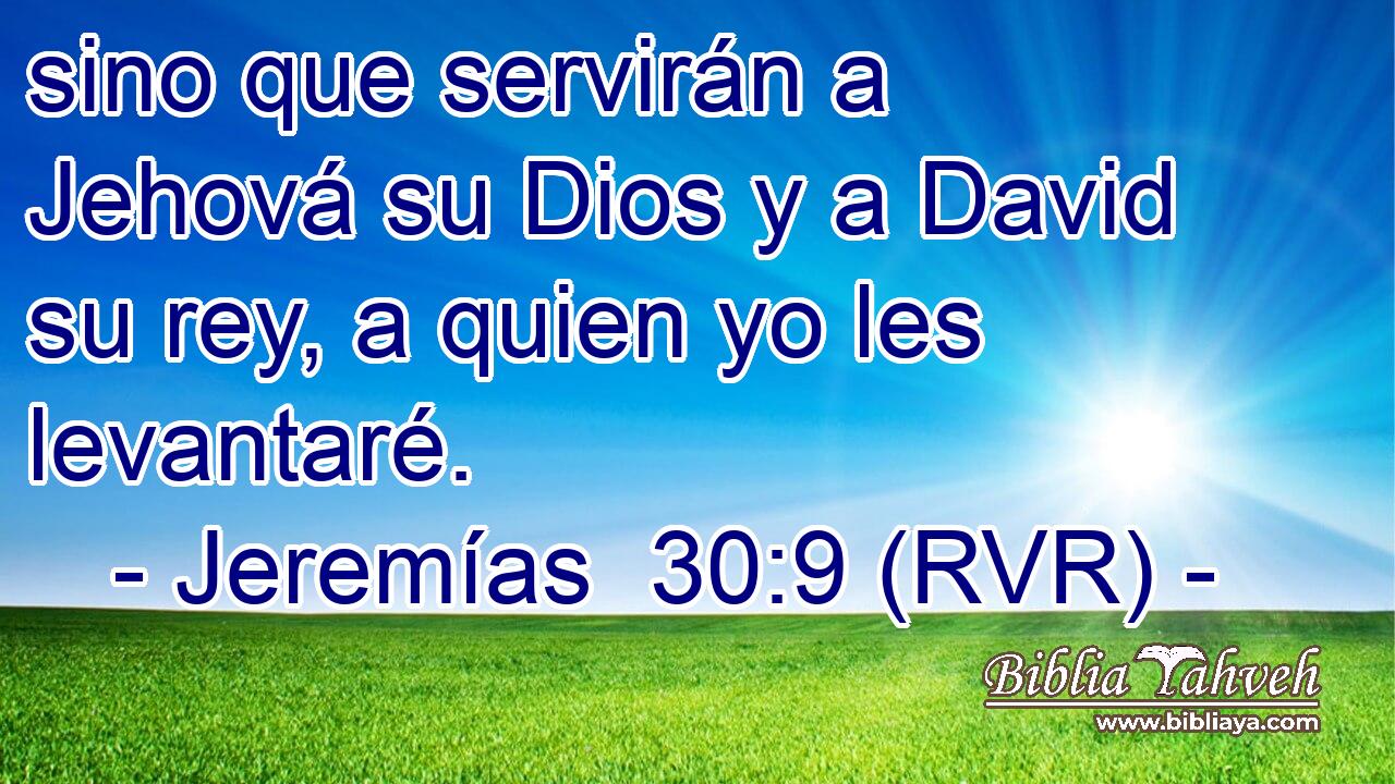 sino que servirán a Jehová su Dios y a David su rey, a quien yo les levantaré.