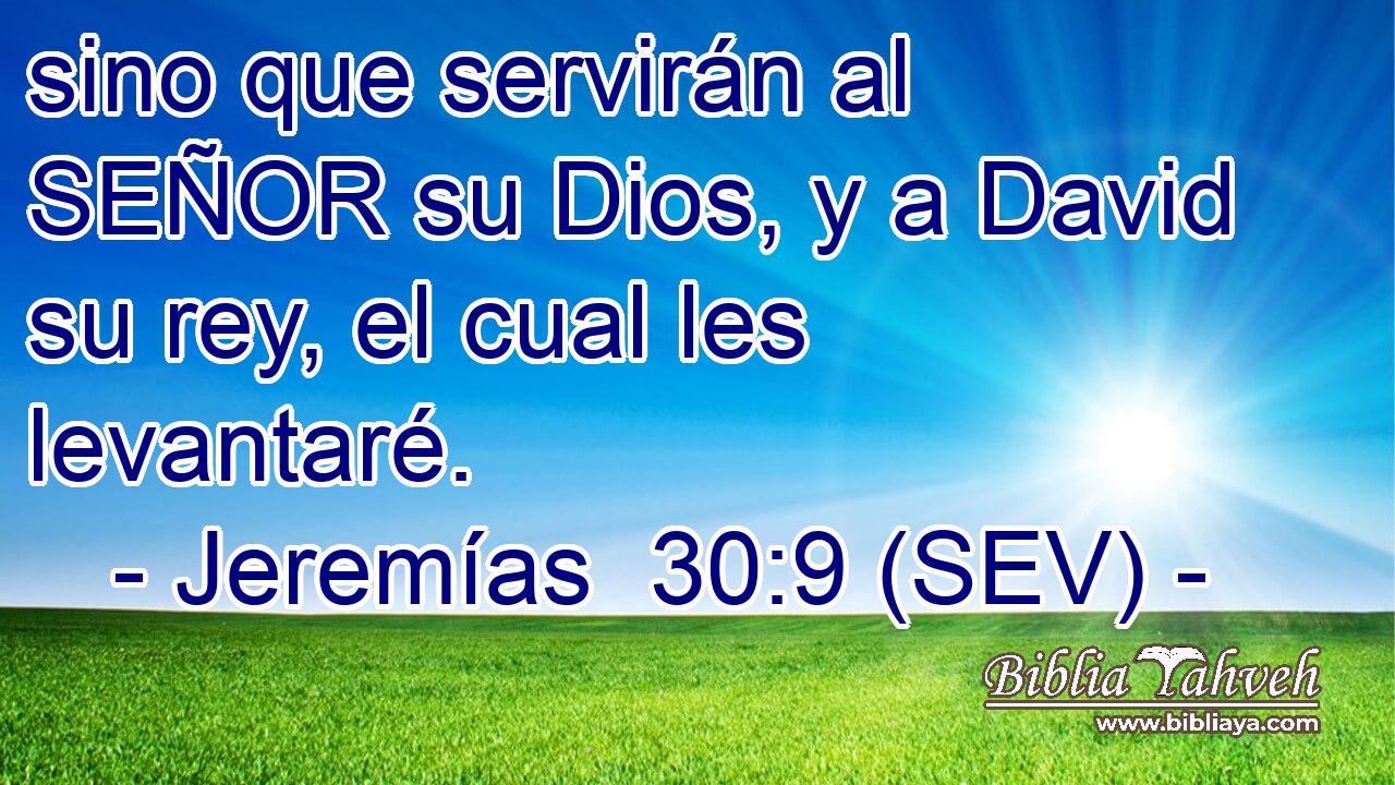 sino que servirán al SEÑOR su Dios, y a David su rey, el cual les levantaré.