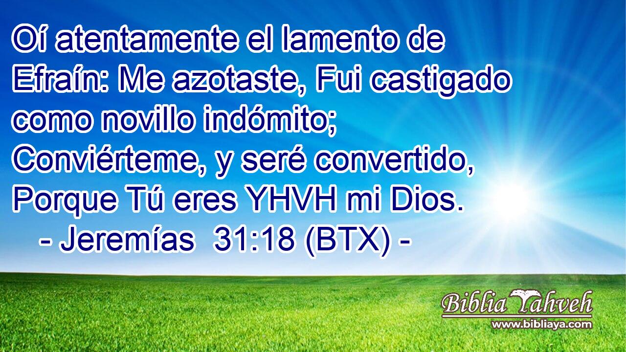 Oí atentamente el lamento de Efraín: Me azotaste, Fui castigado como novillo indómito; Conviérteme, y seré convertido, Porque Tú eres YHVH mi Dios.