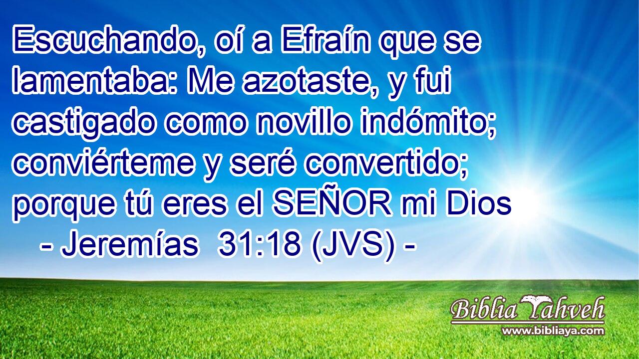 Escuchando, oí a Efraín que se lamentaba: Me azotaste, y fui castigado como novillo indómito; conviérteme y seré convertido; porque tú eres el SEÑOR mi Dios