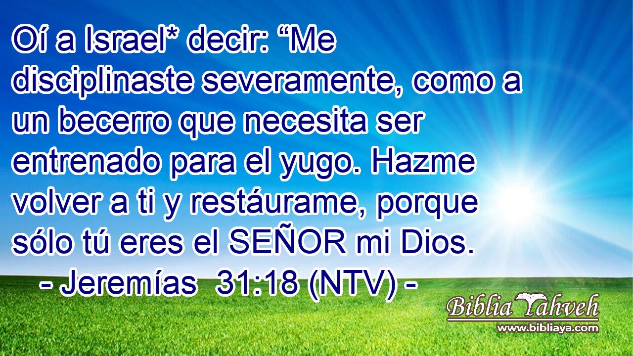 Oí a Israel* decir: “Me disciplinaste severamente, como a un becerro que necesita ser entrenado para el yugo. Hazme volver a ti y restáurame, porque sólo tú eres el SEÑOR mi Dios.