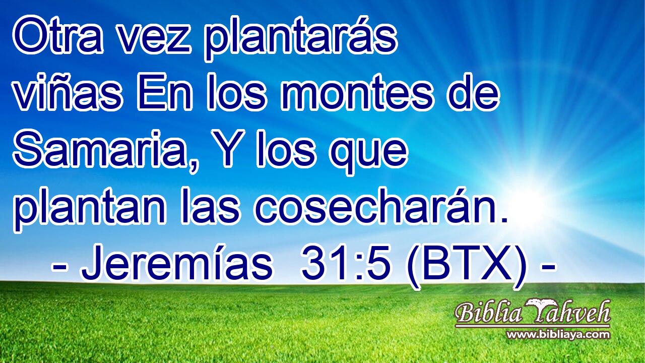 Otra vez plantarás viñas En los montes de Samaria, Y los que plantan las cosecharán.