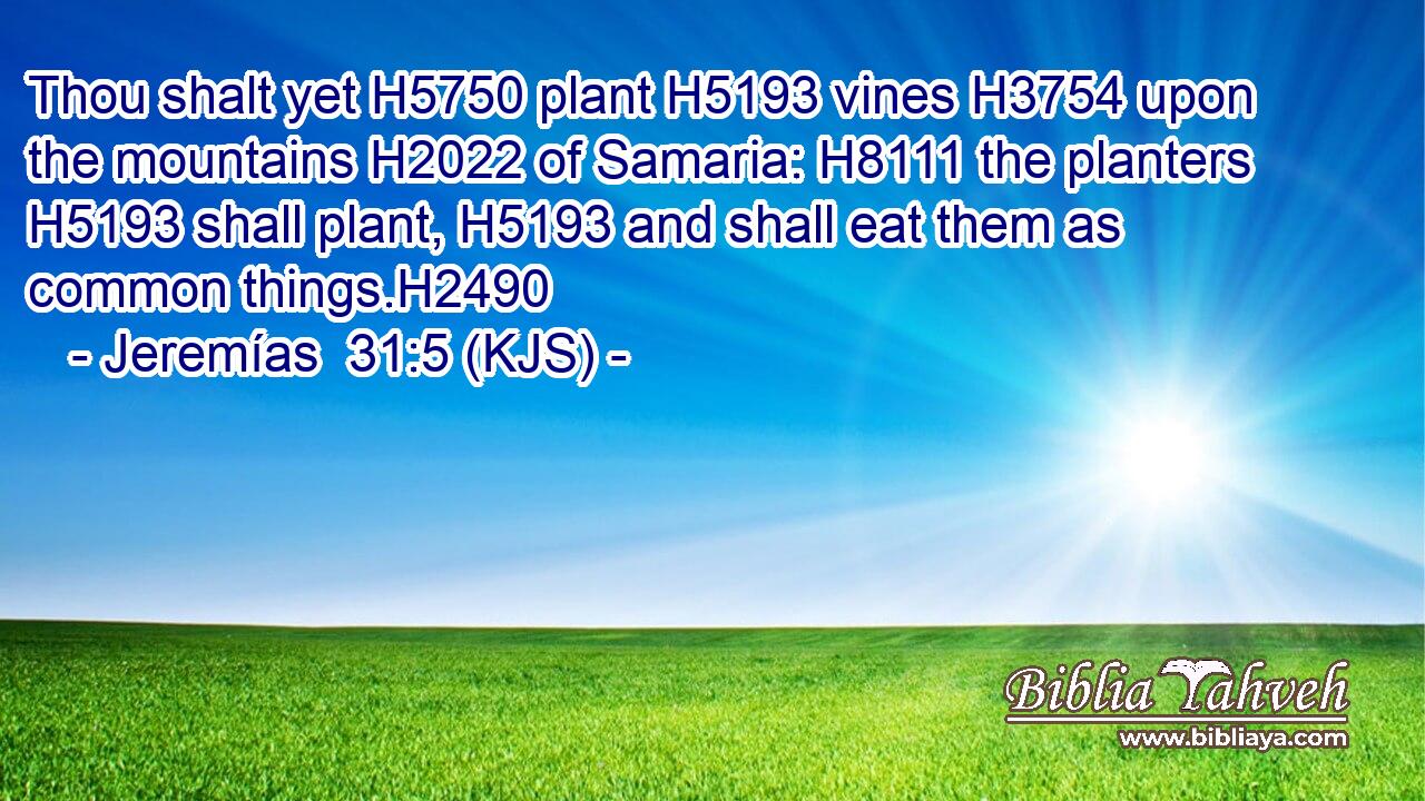 Thou shalt yet H5750 plant H5193 vines H3754 upon the mountains H2022 of Samaria: H8111 the planters H5193 shall plant, H5193 and shall eat them as common things.H2490