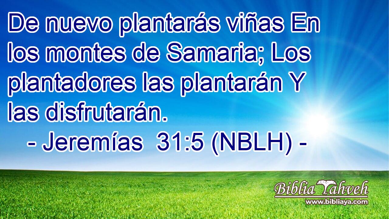  De nuevo plantarás viñas En los montes de Samaria; Los plantadores las plantarán Y las disfrutarán. 