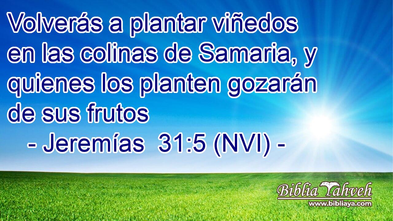  Volverás a plantar viñedos en las colinas de Samaria, y quienes los planten gozarán de sus frutos 