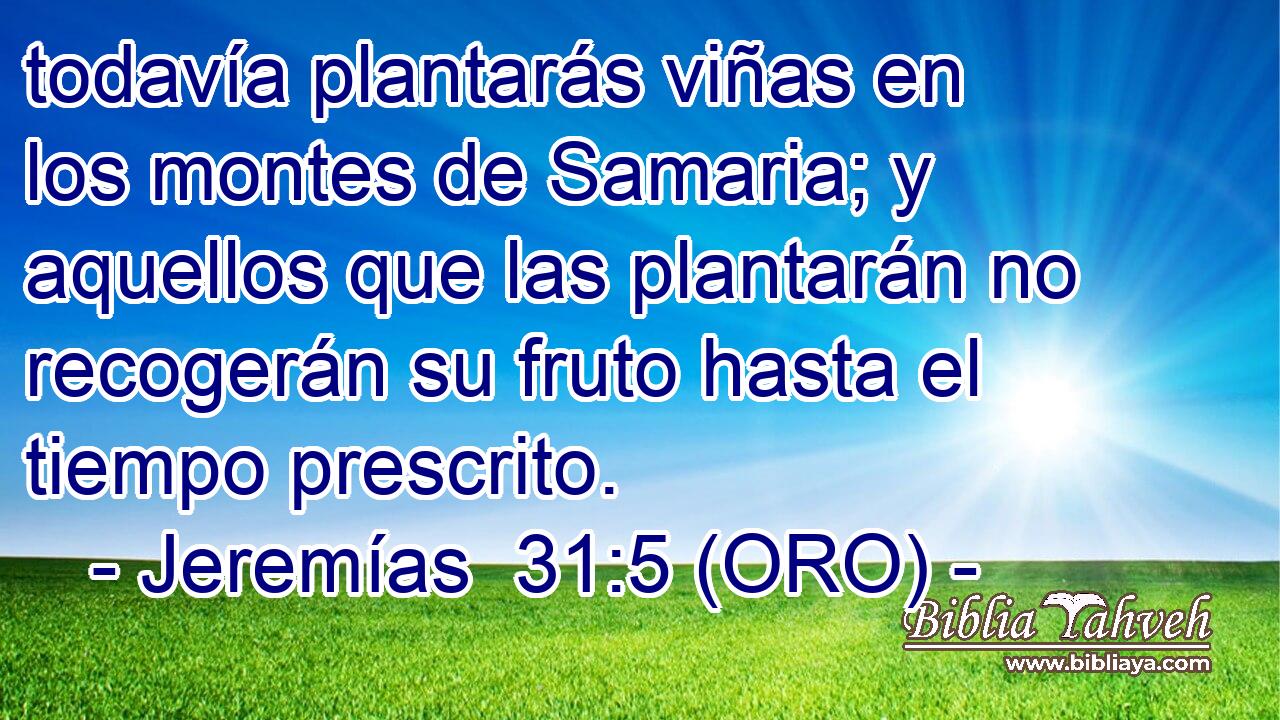  todavía plantarás viñas en los montes de Samaria; y aquellos que las plantarán no recogerán su fruto hasta el tiempo prescrito. 