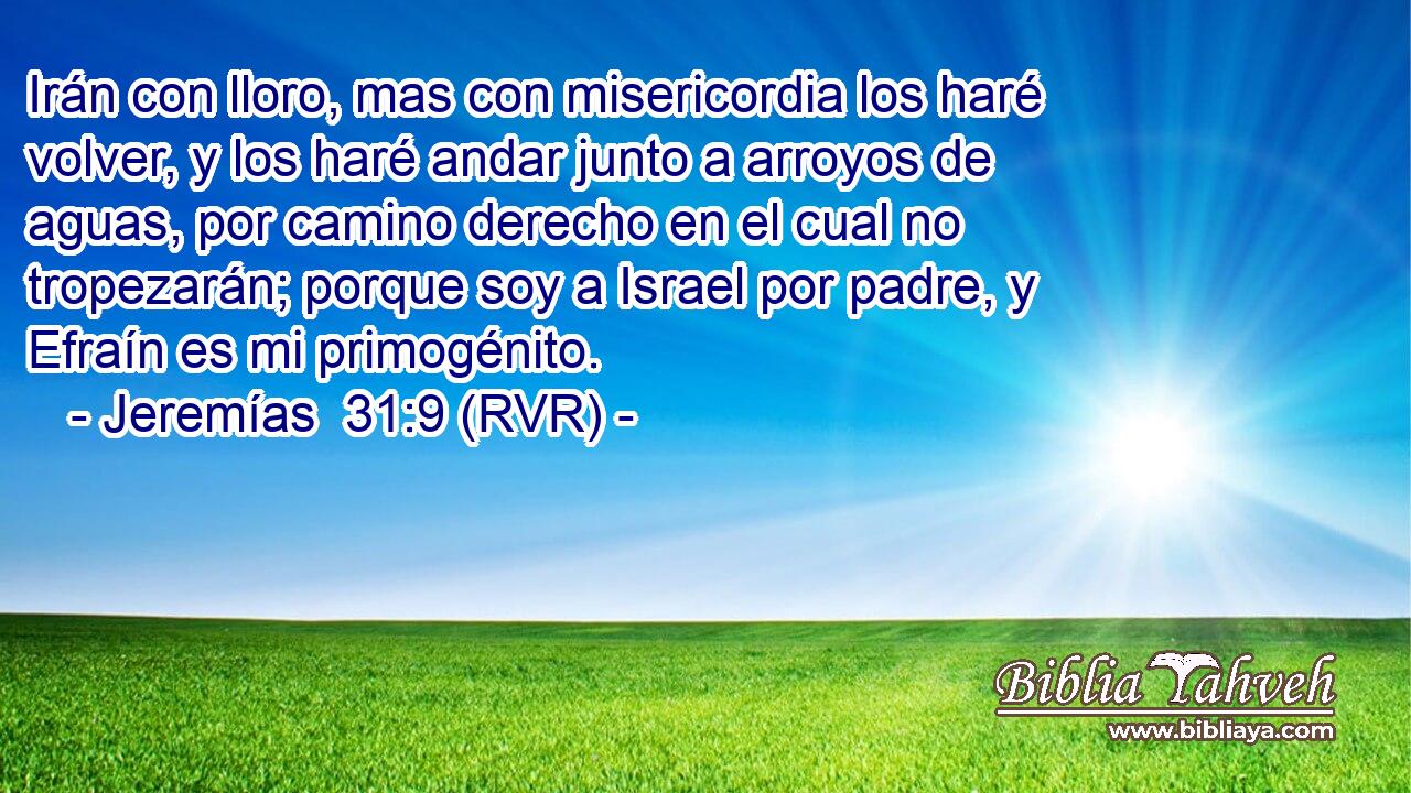 Irán con lloro, mas con misericordia los haré volver, y los haré andar junto a arroyos de aguas, por camino derecho en el cual no tropezarán; porque soy a Israel por padre, y Efraín es mi primogénito.