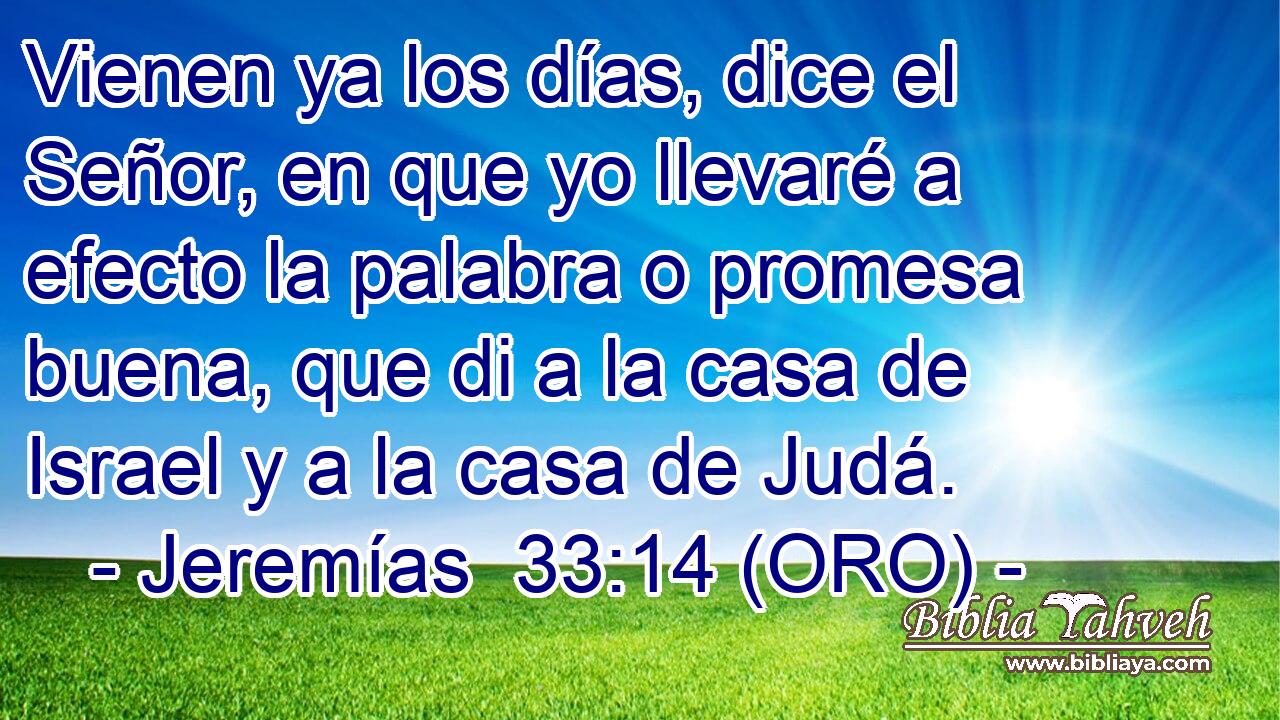  Vienen ya los días, dice el Señor, en que yo llevaré a efecto la palabra o promesa buena, que di a la casa de Israel y a la casa de Judá. 