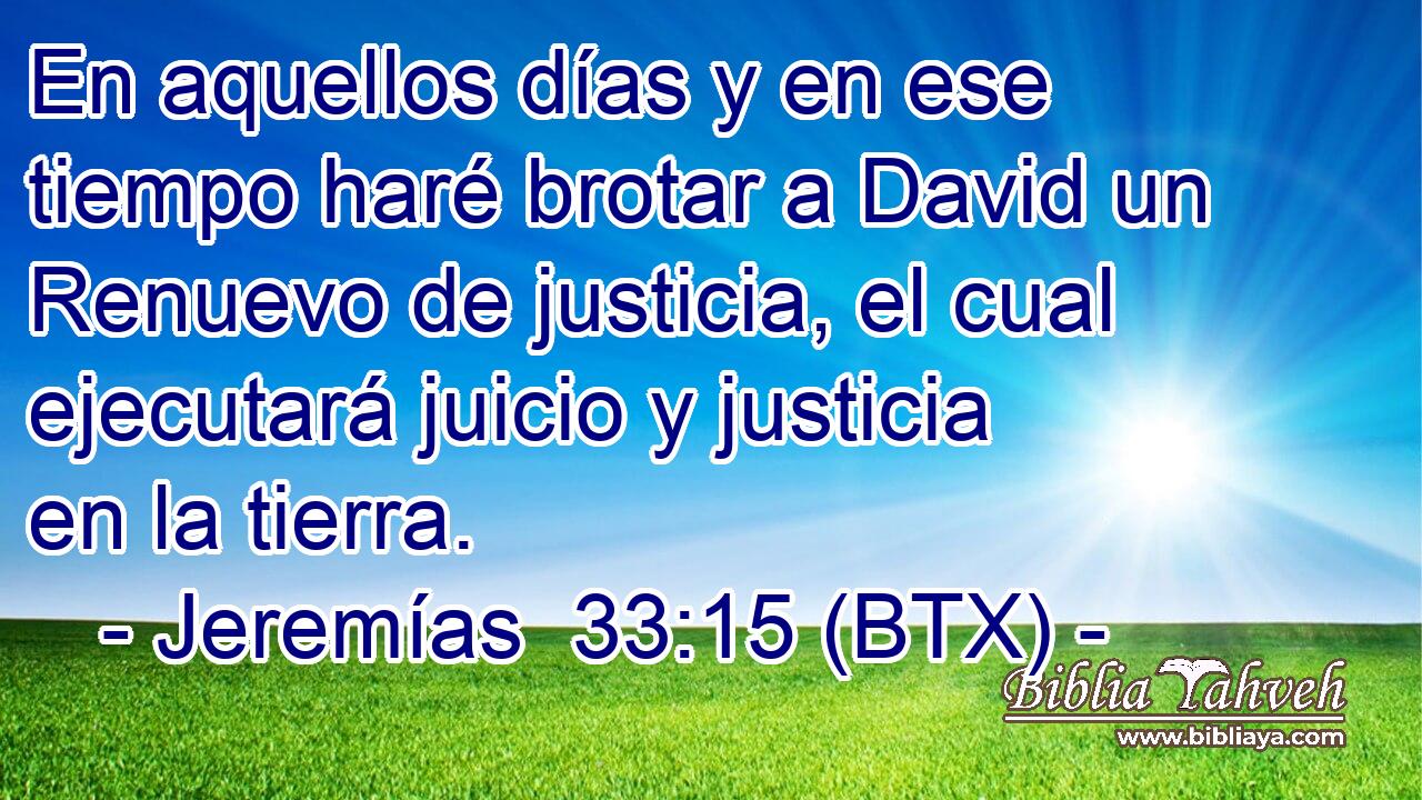 En aquellos días y en ese tiempo haré brotar a David un Renuevo de justicia, el cual ejecutará juicio y justicia en la tierra.
