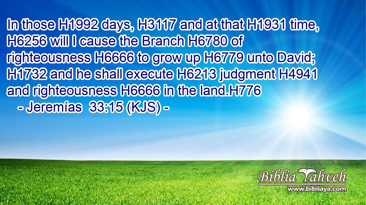 In those H1992 days, H3117 and at that H1931 time, H6256 will I cause the Branch H6780 of righteousness H6666 to grow up H6779 unto David; H1732 and he shall execute H6213 judgment H4941 and righteousness H6666 in the land.H776