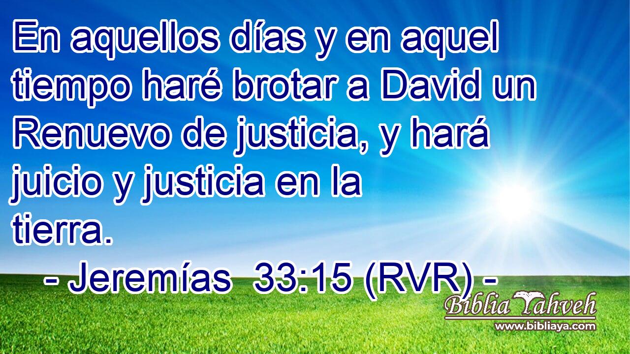En aquellos días y en aquel tiempo haré brotar a David un Renuevo de justicia, y hará juicio y justicia en la tierra.