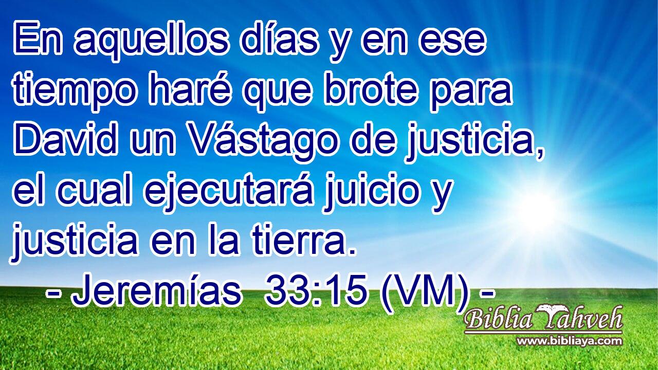  En aquellos días y en ese tiempo haré que brote para David un Vástago de justicia, el cual ejecutará juicio y justicia en la tierra. 