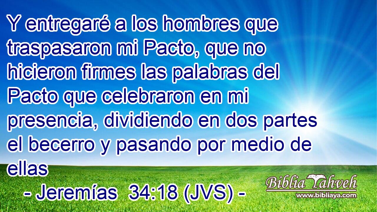 Y entregaré a los hombres que traspasaron mi Pacto, que no hicieron firmes las palabras del Pacto que celebraron en mi presencia, dividiendo en dos partes el becerro y pasando por medio de ellas