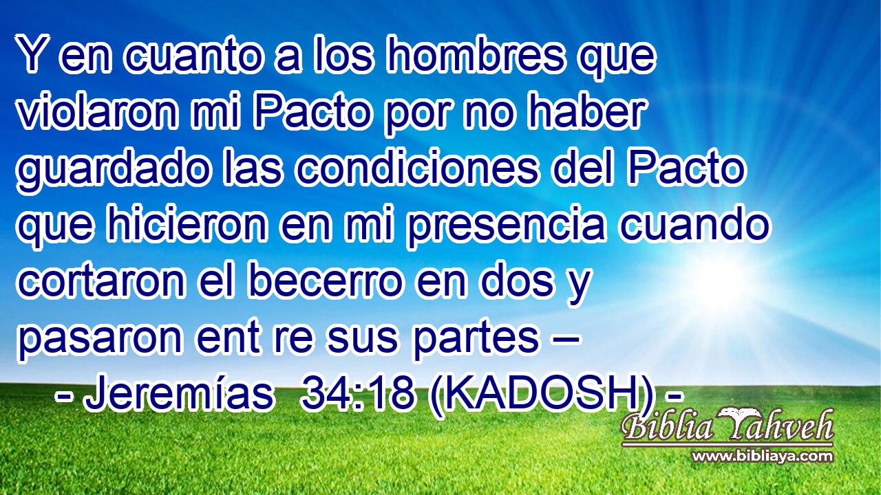  Y en cuanto a los hombres que violaron mi Pacto por no haber guardado las condiciones del Pacto que hicieron en mi presencia cuando cortaron el becerro en dos y pasaron ent re sus partes – 