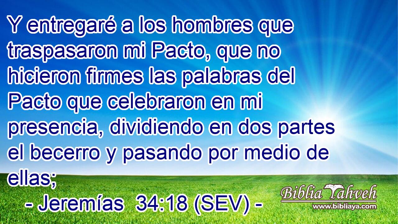 Y entregaré a los hombres que traspasaron mi Pacto, que no hicieron firmes las palabras del Pacto que celebraron en mi presencia, dividiendo en dos partes el becerro y pasando por medio de ellas;
