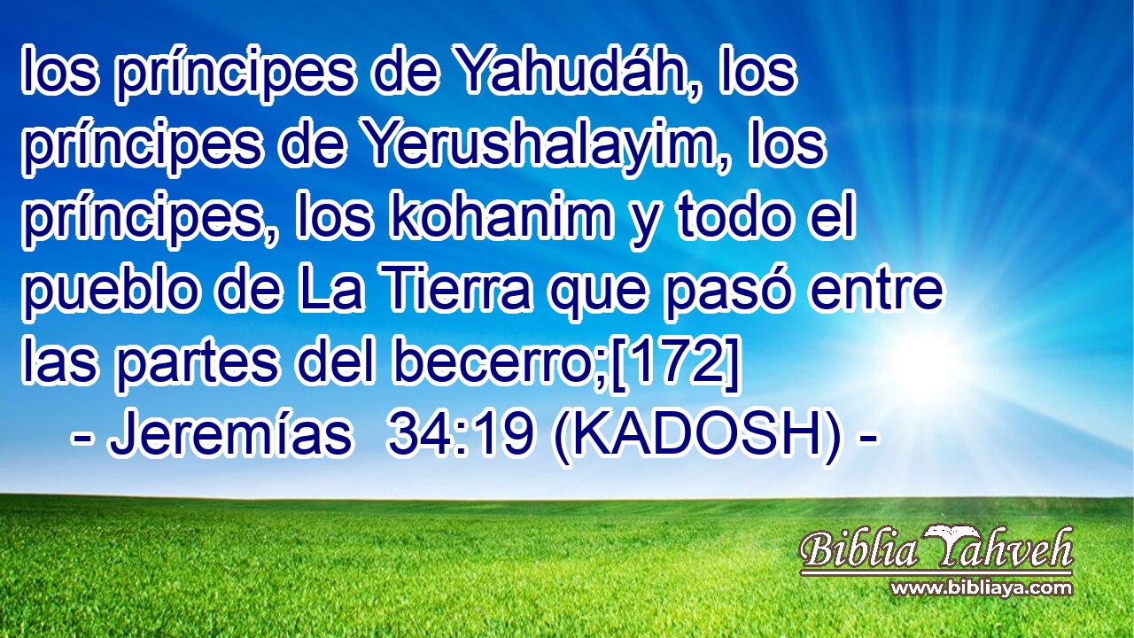  los príncipes de Yahudáh, los príncipes de Yerushalayim, los príncipes, los kohanim y todo el pueblo de La Tierra que pasó entre las partes del becerro;[172] 