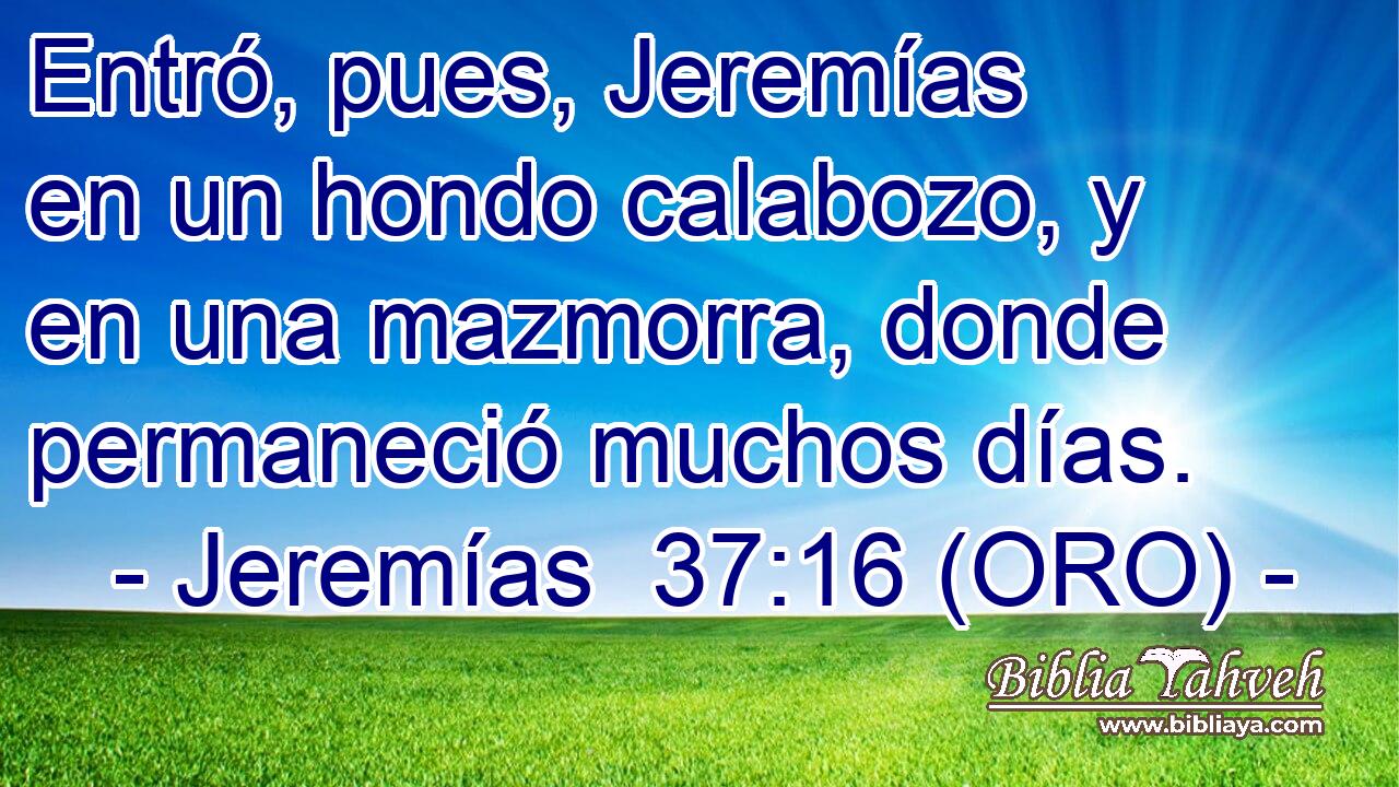  Entró, pues, Jeremías en un hondo calabozo, y en una mazmorra, donde permaneció muchos días. 