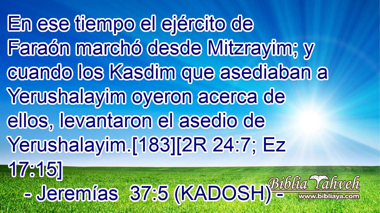  En ese tiempo el ejército de Faraón marchó desde Mitzrayim; y cuando los Kasdim que asediaban a Yerushalayim oyeron acerca de ellos, levantaron el asedio de Yerushalayim.[183][2R 24:7; Ez 17:15] 